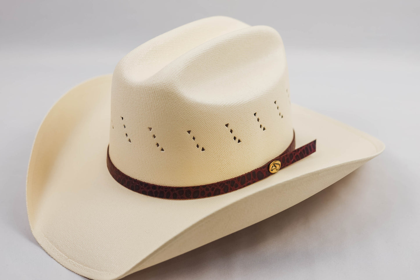 Turner Hat Cowboy Canvas cowboy hat side view with imitation alligator band